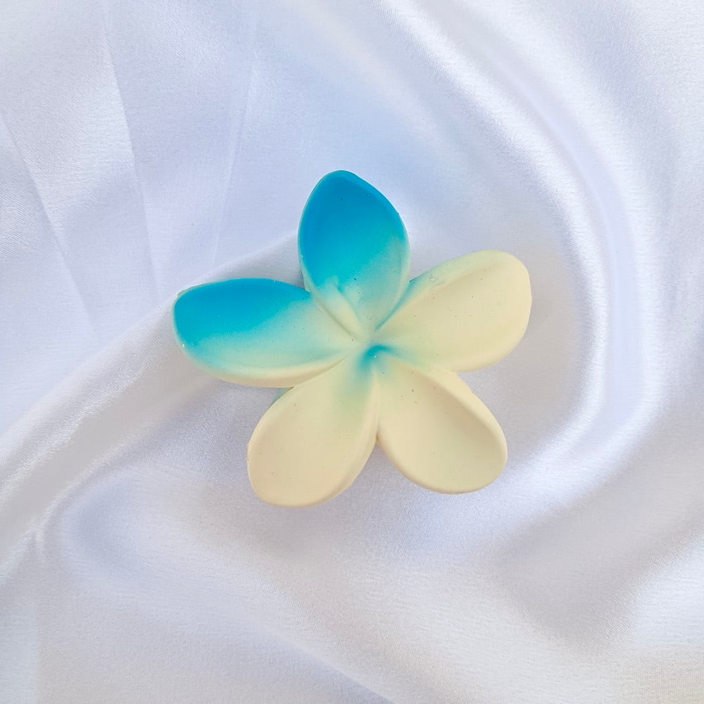 Matte Emerald Mist Claw Clip